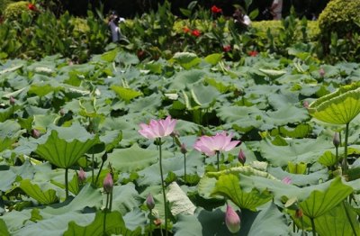 ​微信个性霸气男生网名(285个)