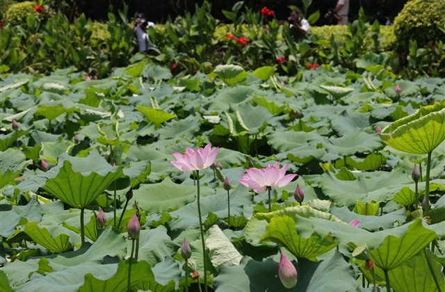 微信个性霸气男生网名(285个)