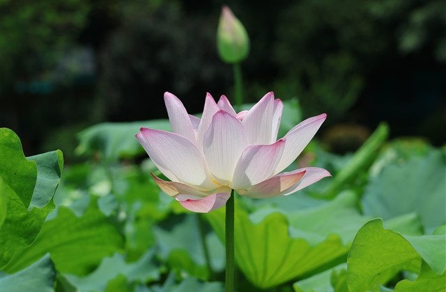 炫舞情侣网名一对(精选153个)