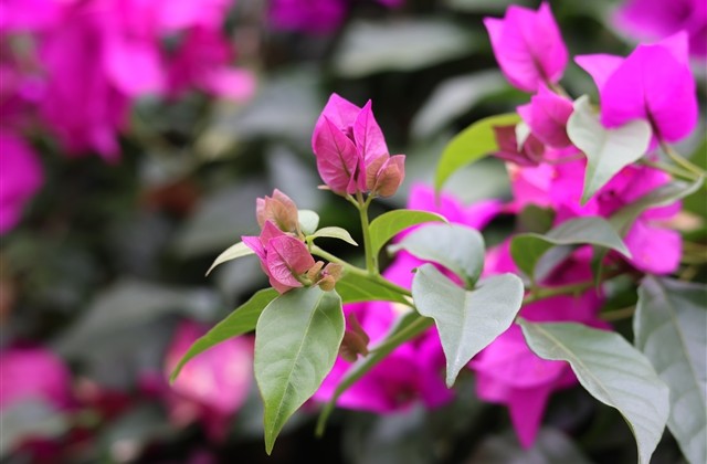 5个字情侣古风游戏名字(共155个)