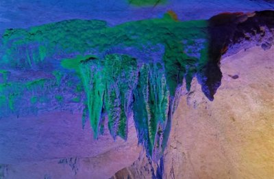 ​推荐男生沙雕网名(优选269个)