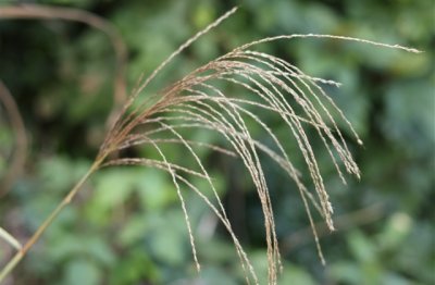 ​女生一个字的游戏名字(优选421个)