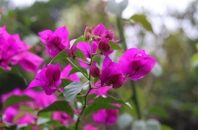 女生一个字的游戏名字(优选421个) 女生一个字的游戏名字(优选421个)