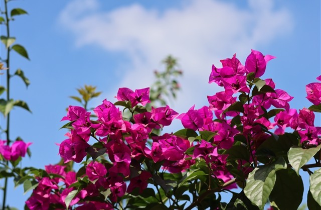 好听简短的家族名字(优选267个) 好听简短的家族名字(优选267个)