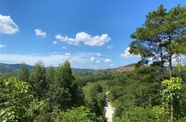 lol搞怪一点的id(优选258个) lol搞怪一点的id(优选258个)