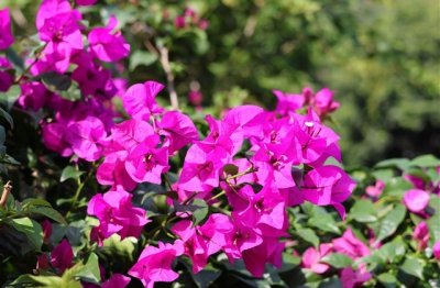 ​伤感女生繁体字抖音网名(共279个)