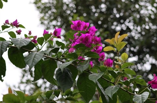 带点优雅的简单悲伤的网名(共233个)