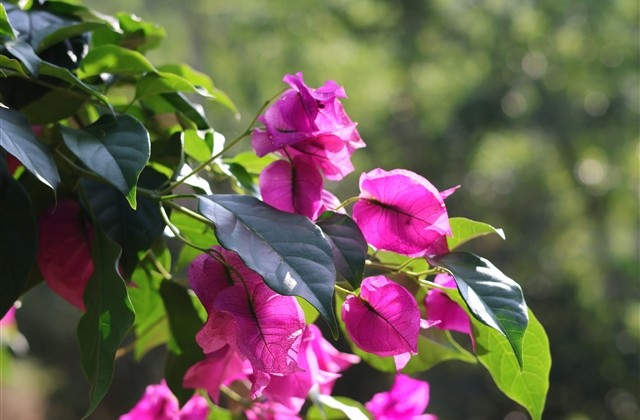 比较冷酷的网名(共264个)