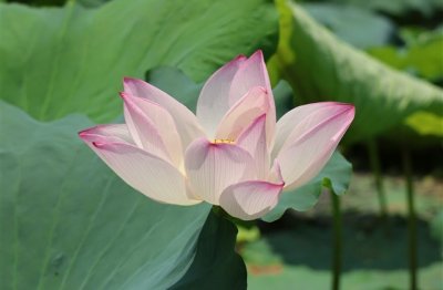 ​关于男生的网名(186个)