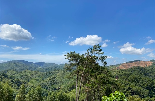 比较文艺的三个字的网名(优选285个)