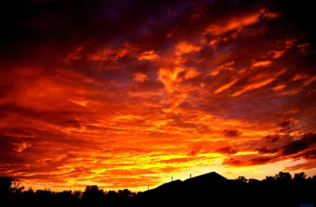 成年女人的网名(精选253个)