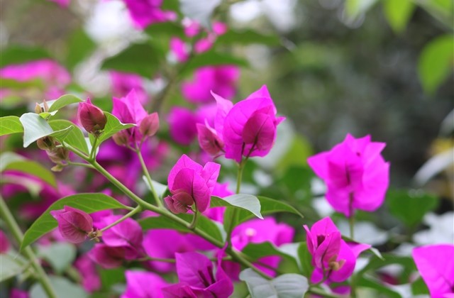 可爱的俩字情侣网名(精选193个)