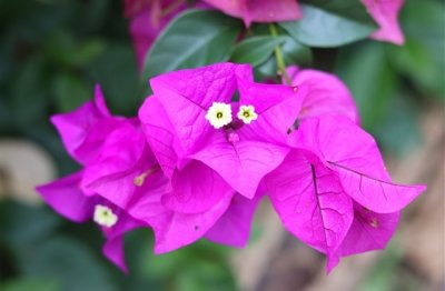 ​最潮最撩人的个性网名(249个)