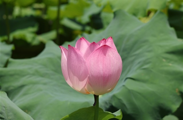 最潮最撩人的个性网名(249个) 最潮最撩人的个性网名(249个)