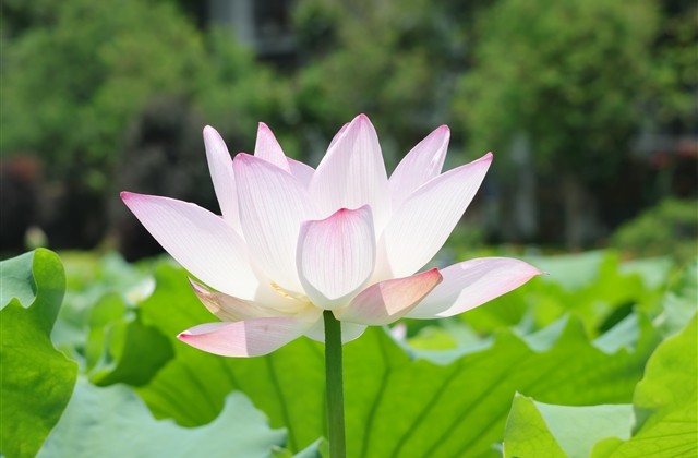 王者荣耀二字诗意昵称(精选334个)