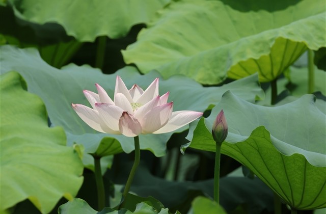 让人哭笑不得的网名(238个)