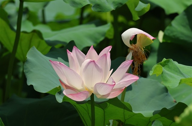 好听又伤感的繁体字网名(103个)