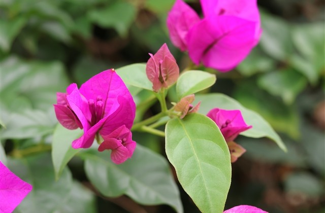 特别霸气的家族群名 特别霸气的家族群名