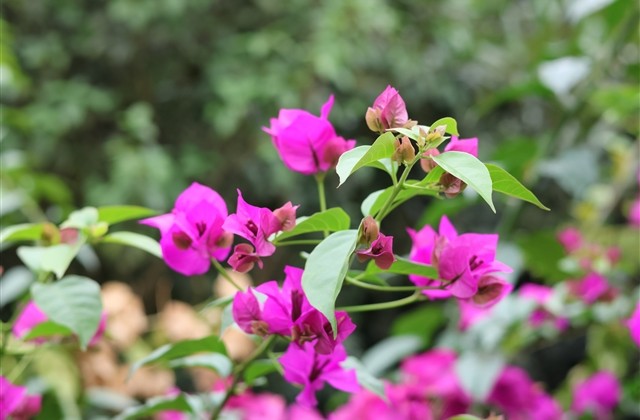 好听的关于背影的昵称 好听的关于背影的昵称