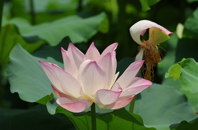 微信好听男生繁体字网名(精选109个) 微信好听男生繁体字网名(精选109个)