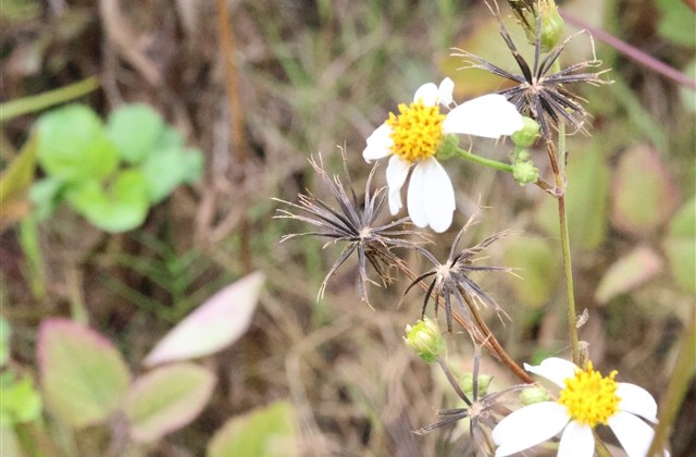 回不去的青春网名