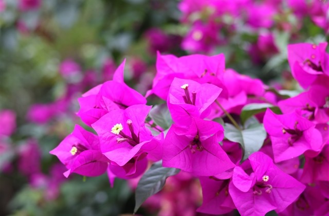 姓王的男宝宝经典名字大全(精选119个) 姓王的男宝宝经典名字大全(精选119个)