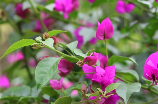 吃鸡网名霸气超拽个性网名(优选95个)