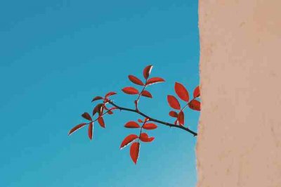 ​qq飞车个性名字377个