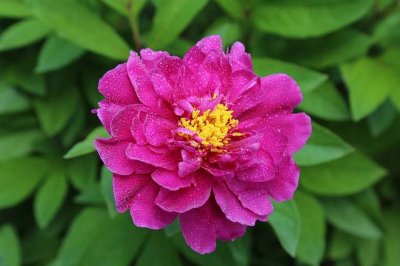 ​微信名字2023最好听