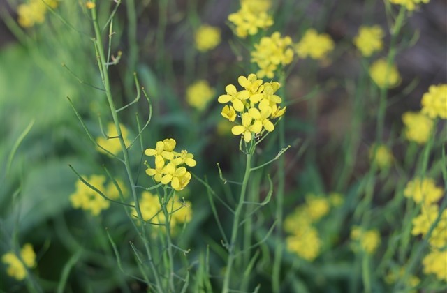 女生昵称霸气 黑暗系冰冷名字(精选95个) 女生昵称霸气 黑暗系冰冷名字(精选95个)