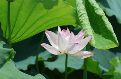 ​男生魅力网名大全(共60个)