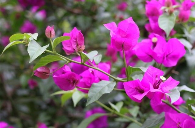 好看点的网名 漂亮好看的网名