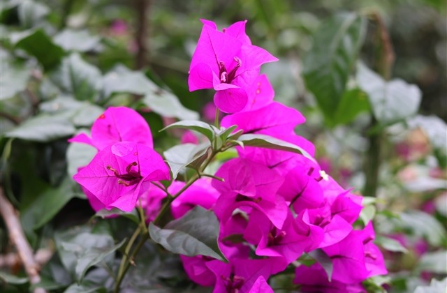 史上最皮的网名(共49个)