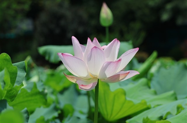 最火的五字网名大全 最火的五字网名大全