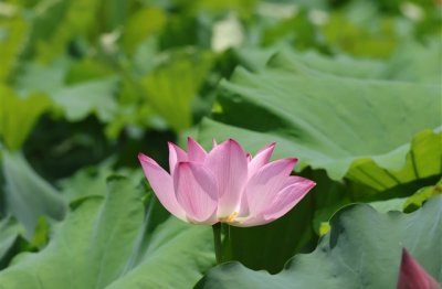 ​男生四字网名帅气