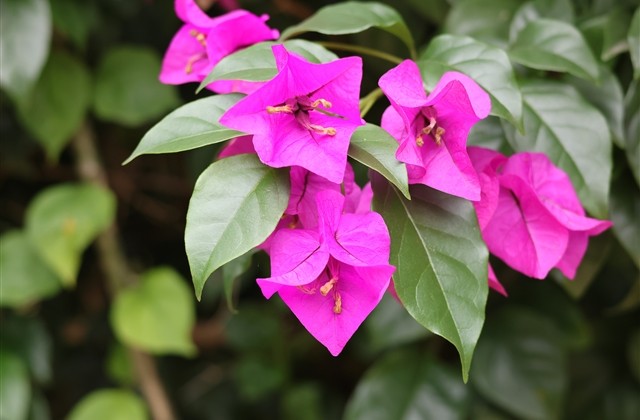 比较欧的游戏名字(优选48个) 比较欧的游戏名字(优选48个)