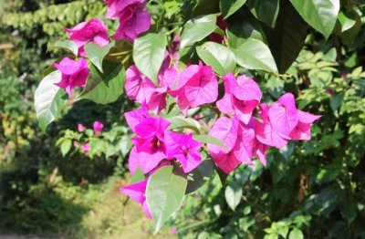 ​男生网名ins高级质感