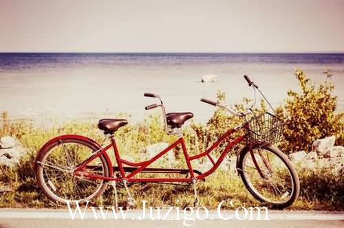 521贷款文案贷款文案(精选23句)