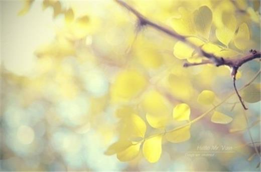 2023年最火的早安句子