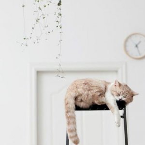 ​有道理的说说 有道理