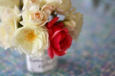 ​关于等一个人的说说