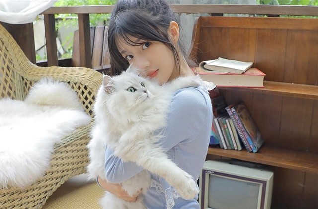 有趣的废话文学文案 有趣的废话文学文案