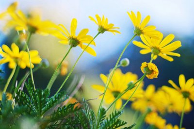 ​饿的说说36句