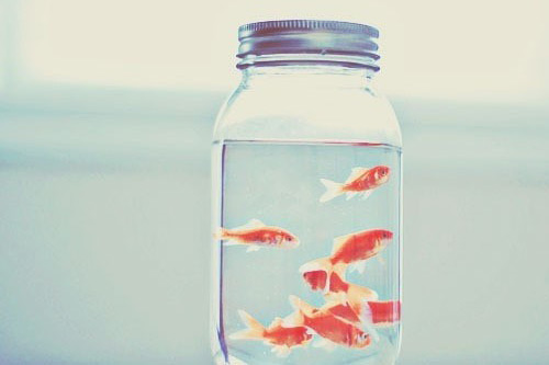 还花呗的搞笑说说 又到了还花呗的日子说说