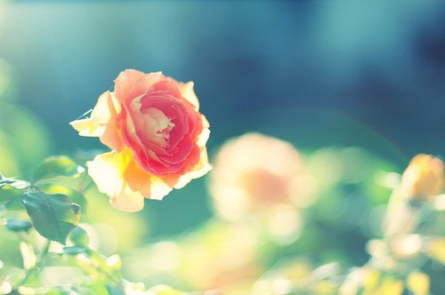 龙应台目送经典句子篇1 龙应台说的经典句子(34句)