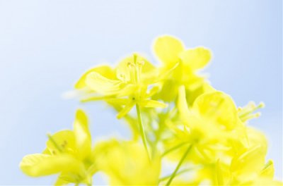 ​绝情说说45句