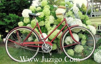 ​做一个诚实的人说说做人要讲诚信的说说(54句)