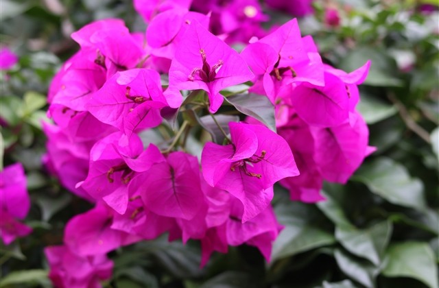 qq飞车温柔甜美的名字 qq飞车温柔甜美的名字