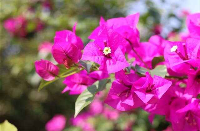 男朋友特别的备注名称 男朋友特别的备注名称