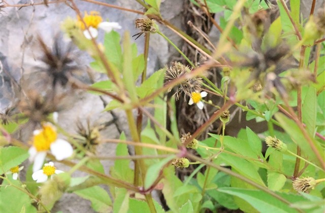 LOL关于剑圣的ID LOL关于剑圣的ID